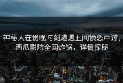 神秘人在傍晚时刻遭遇丑闻愤怒声讨，西瓜影院全网炸锅，详情探秘