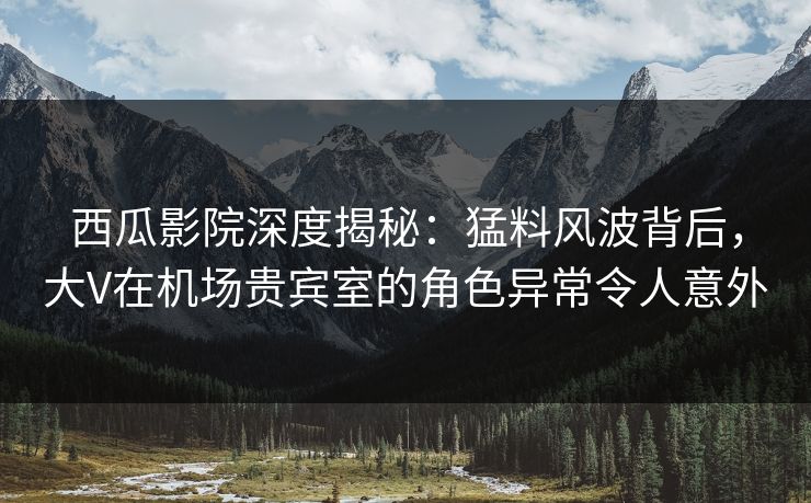 西瓜影院深度揭秘：猛料风波背后，大V在机场贵宾室的角色异常令人意外